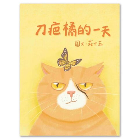 刀疤橘的一天