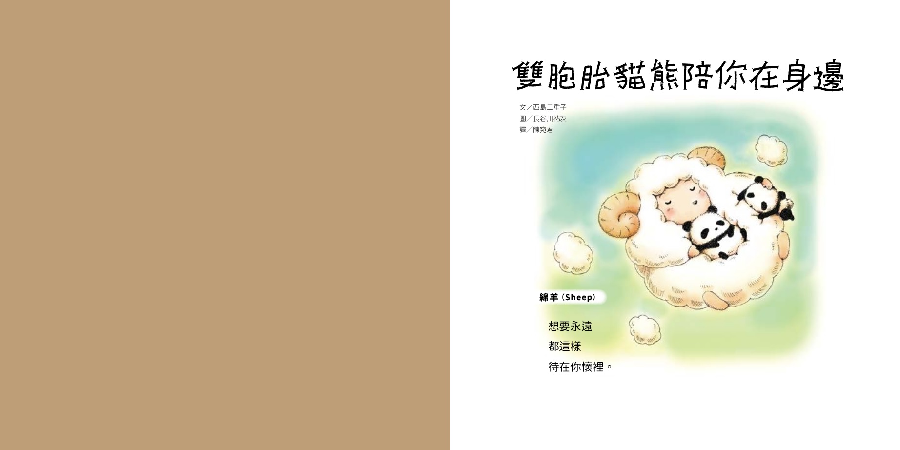 雙胞胎貓熊陪你在身邊:圖片 2