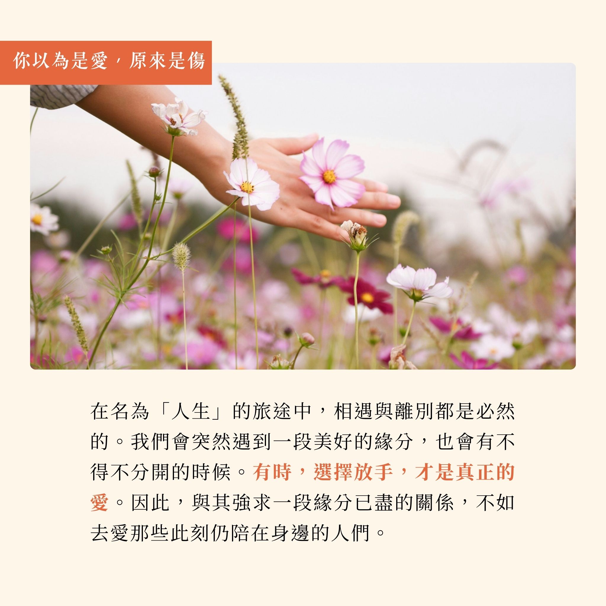 【優惠套組】《 是家人也是他人》+《你以為是愛,原來是傷》:圖片 4